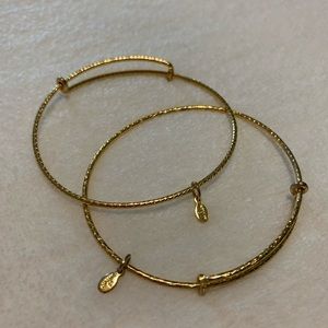 Alex and Ani Set of 2 Gold Bangle Bracelets